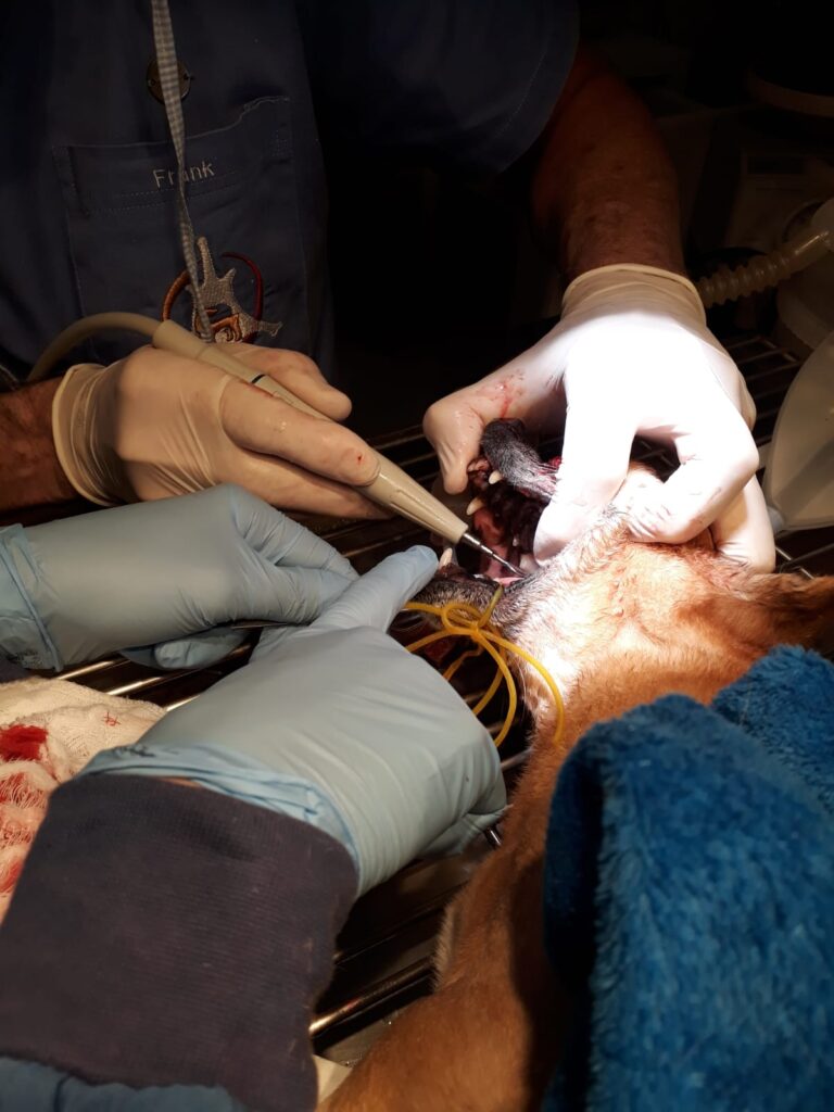 WhatsApp Image 2026-02-27 at 20.15.42 (1)